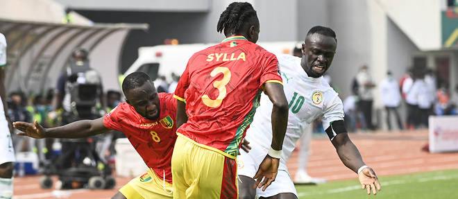 Le Sénégal tenu en échec par la Guinée / © PIUS UTOMI EKPEI / AFP